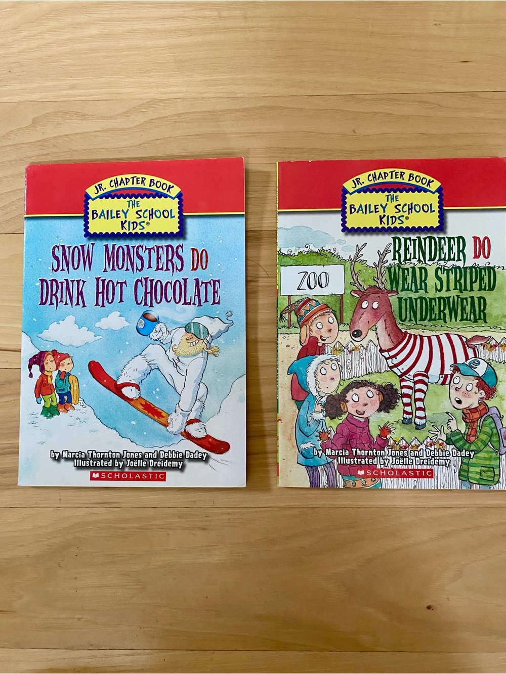 The Bailey School Kids Jr Chapter Book Series Lot of 2 Books Used